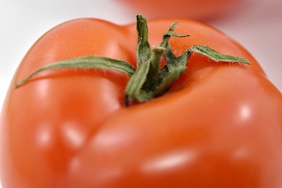 grünes Blatt, Makro, rot, Haut, Tomaten, Gemüse, frisch, Gesundheit, Zutaten