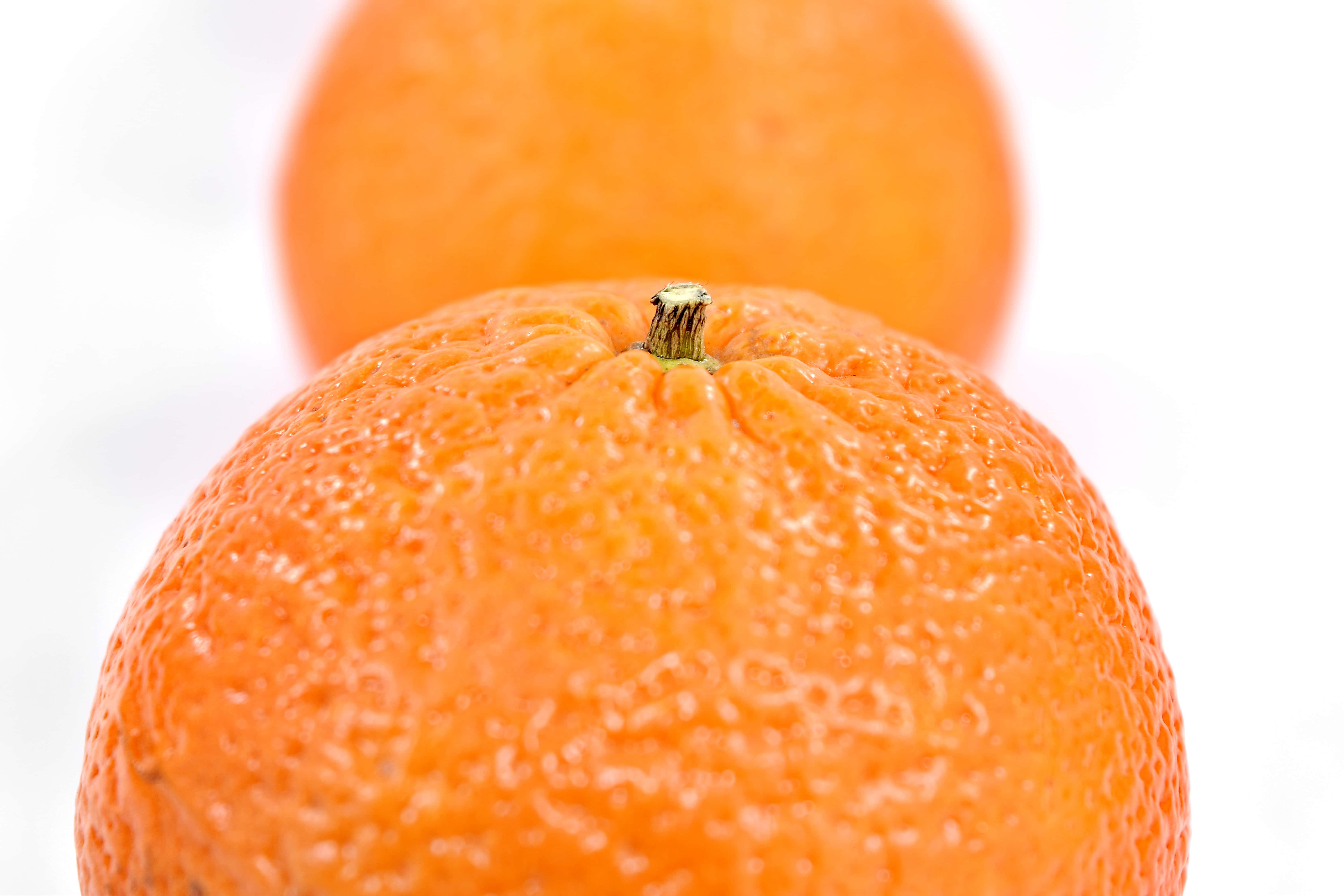 フリー写真画像 間近 オレンジの皮 オレンジ 全体 甘い フルーツ オレンジ 柑橘類 マンダリン タンジェリン