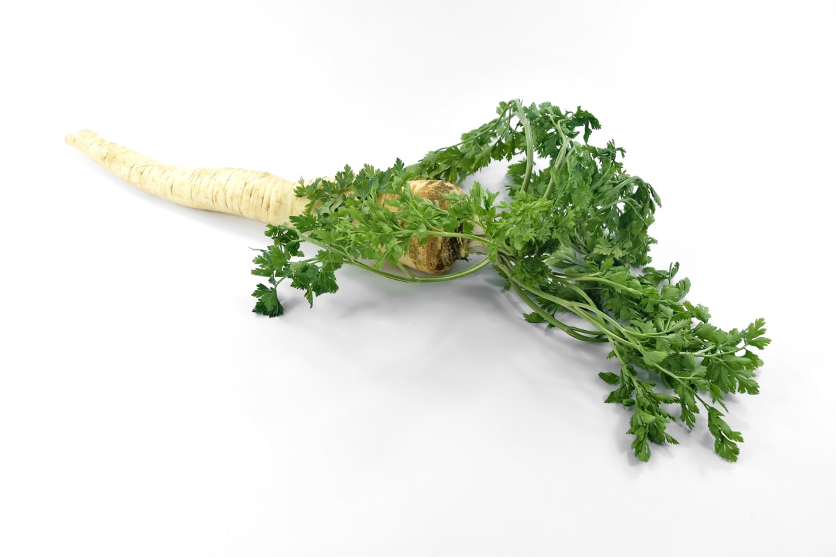 groceries, parsley, root, spice, vegan, vegetable, vitamin C, food, fresh, herb