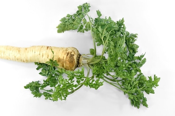 groceries, organic, parsley, vegetable, vitamin C, fresh, herb, food, ingredients, leaf