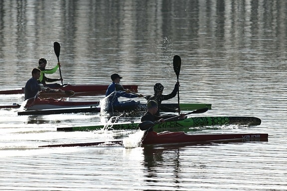 男孩, 独木舟, 冠军, 种族, 体育, 团队, 桨, 水, 独木舟, 竞争