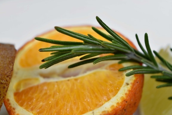 tangerine, mandarin, orange, citrus, fresh, fruit, vitamin, nature, delicious, food