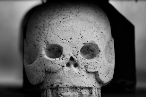 artwork, head, marble, skull, monochrome, cemetery, grave, anatomy, face, man