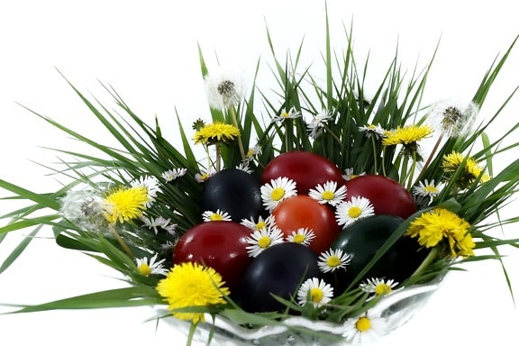 bowl, colorful, daisies, dandelion, easter, egg, grass, bright, flower, leaf