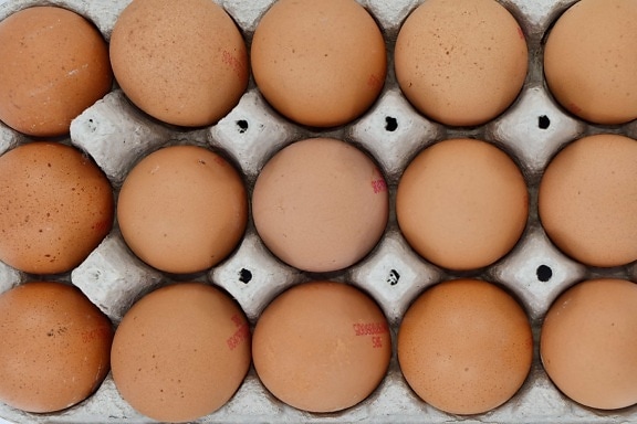 aerial, egg, egg box, food, protein, chicken, cholesterol, shell, ingredients, poultry