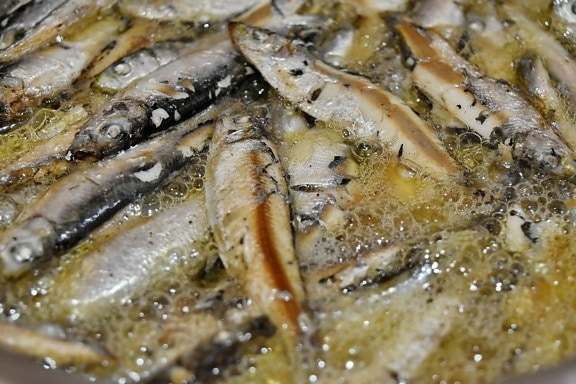 matlaging, fisk, mat, kjøtt, olje, saltvannsfisk, sardiner, sjømat, måltid, middag