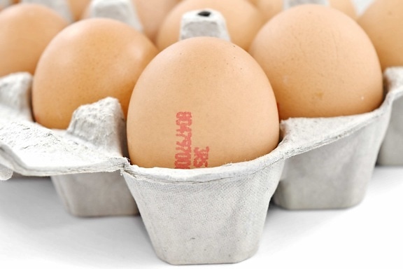 cardboard, carton, egg, egg box, eggshell, food, ingredients, cholesterol, breakfast, nutrition