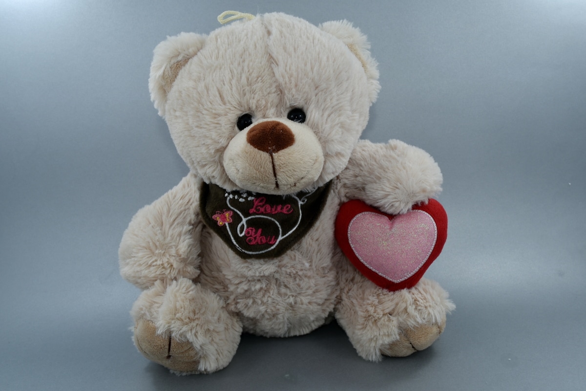srdce, láska, hlásenie, hračka medvedíka, text, Deň svätého Valentína, hračka, milý, darček, smiešny