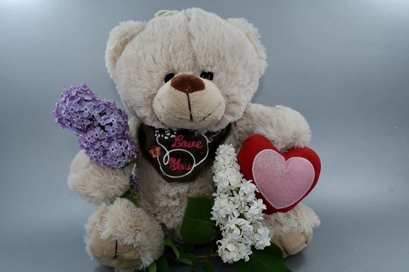 belles fleurs, cadeau, amour, romance, ours en peluche, mariage, mignon, jouet, ours, poupée