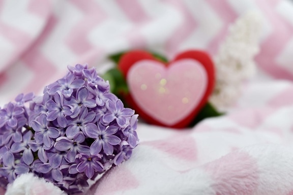 affection, beautiful flowers, beautiful image, blanket, elegance, heart, lilac, love, pink, purplish