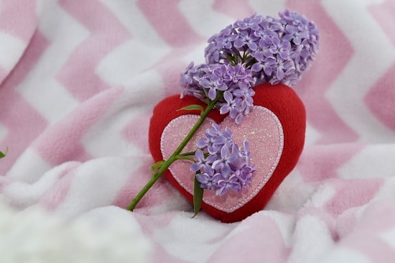心, 丁香, 爱, 紫色, 紫罗兰色, 花, 花瓣, 粉色, 浪漫, 性质