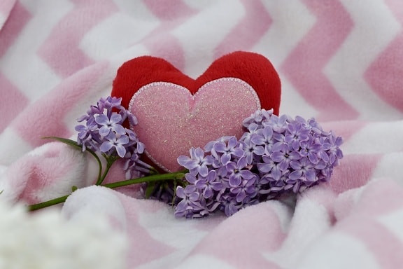 flower, lilac, petal, love, romance, nature, aromatherapy, bath, treatment, wedding