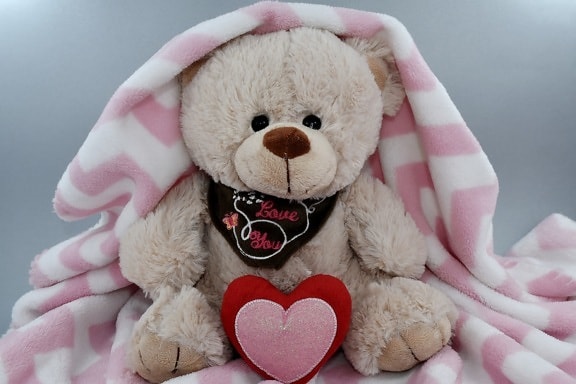 blanket, doll, heart, love, message, romance, Valentine’s day, cute, teddy bear toy, bear