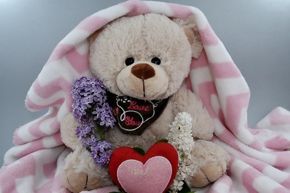 beautiful flowers, fragrance, love, romance, romantic, Valentine’s day, teddy bear toy, toy, cute, scarf