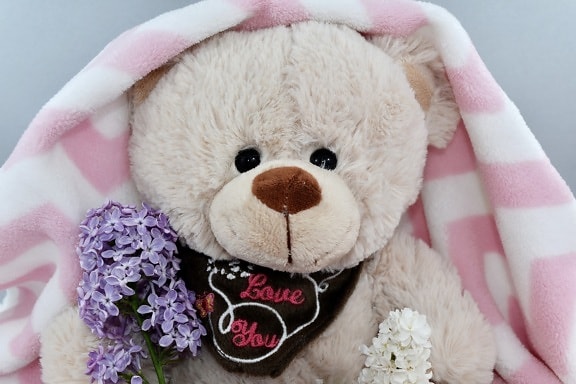 beautiful flowers, blanket, cute, doll, gifts, present, teddy bear toy, toy, comfort, love