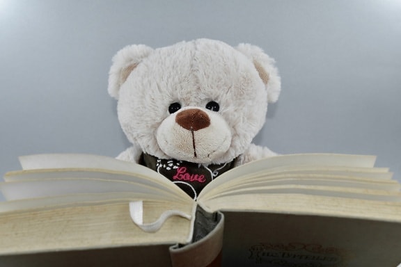livre, connaissances, alphabétisation, lecture, ours en peluche, sagesse, jouet, ours, mignon, Noël