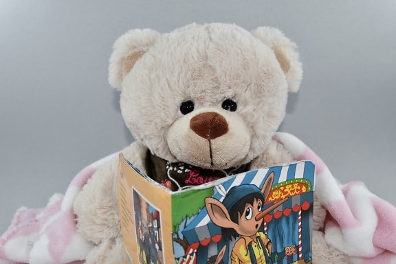 จอง, อ่าน, ตุ๊กตาหมีของเล่น, หมี, น่ารัก, หนาว, ของเล่น, ตลก, สนุก, ขนสัตว์