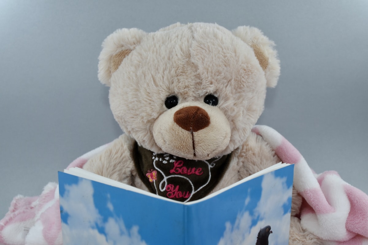 kniha, darček, čitateľ, čítanie, hračka medvedíka, hračky, milý, hračka, zimné, zábava