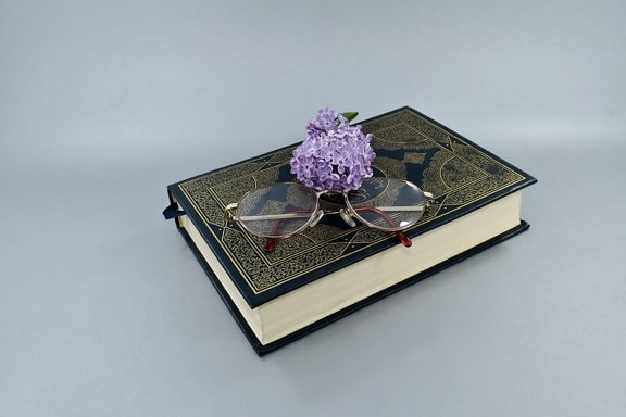 book, eyeglasses, flower, knowledge, lilac, magnification, poetry, reading, still life, art