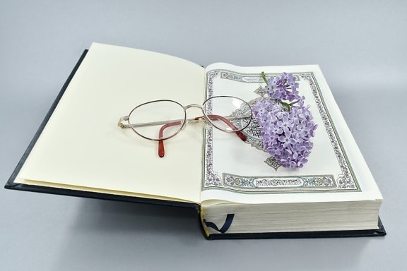 book, eyeglasses, illustration, poetry, reading, wisdom, paper, education, notebook, literature