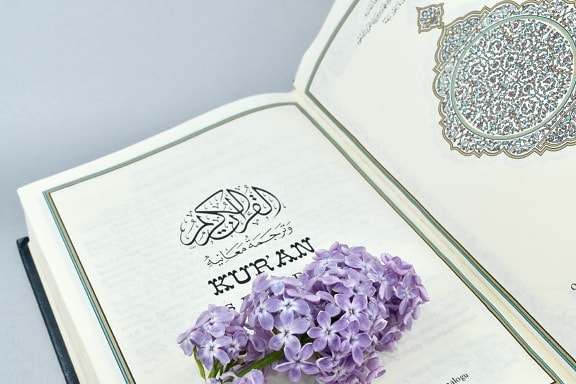 Quran, arabesque, arabic, book, flower, heritage, holly, Islam, lilac, literacy, paper