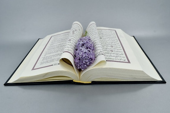 arabic, book, literature, knowledge, education, paper, library, page, school, wisdom