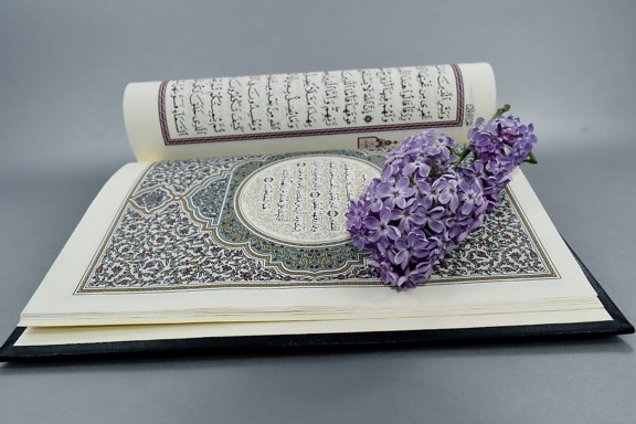arabesque, Islam, lilac, religious, wisdom, education, knowledge, literature, color, room