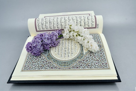 ดอกไม้สวยงาม, ศาสนาอิสลาม, สีม่วงอ่อน, อาหรับ, ปุก, ศิลปะ, จอง, หนังสือ, สี, ตกแต่ง