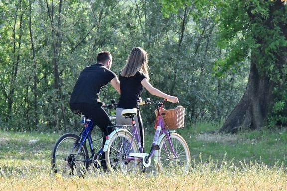 boyfriend, enjoyment, forest trail, girlfriend, nature, relaxation, sunshine, walking, outdoors, leisure