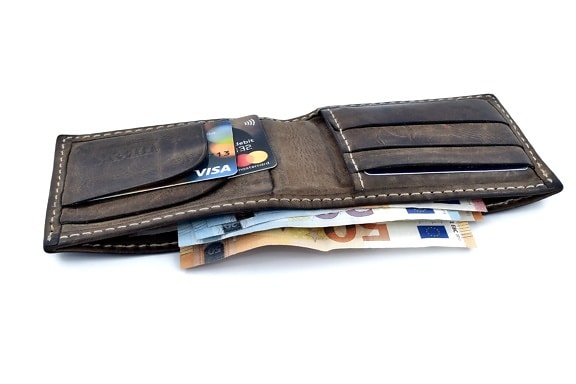 wallet, banknote, cards, credit, currency, Europe, loan, paper money, union, shopping, business