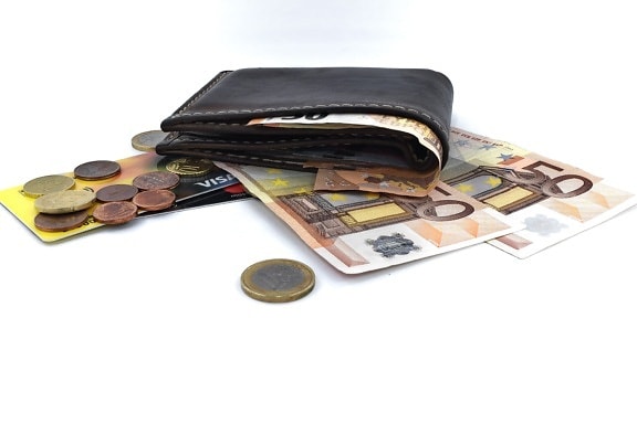 wallet, finance, cash, container, euro, case, savings, business, currency, bank, money