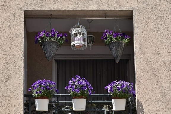 facade, balcony, architecture, flower, flowerpot, vase, interior design, window, house, geranium