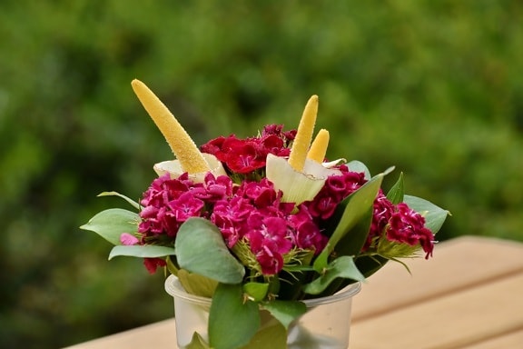 carnation, decoration, still life, vase, arrangement, bouquet, flower, nature, summer, leaf