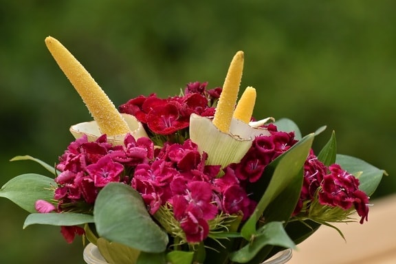 beautiful flowers, beautiful photo, bouquet, carnation, decoration, green leaves, petals, pinkish, pistil, reddish