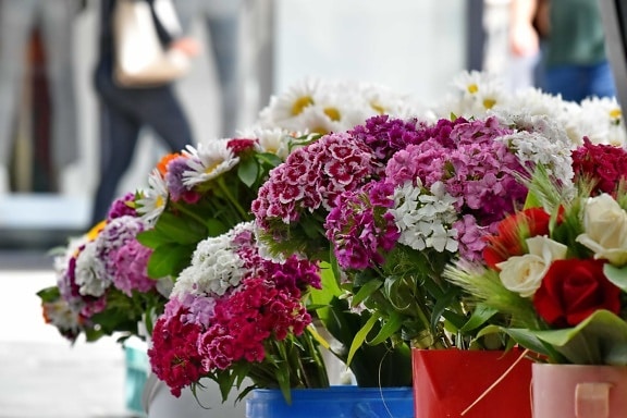 kytice, karafiát, tržiště, růže, ulice, městská oblast, váza, uspořádání, květ, dekorace