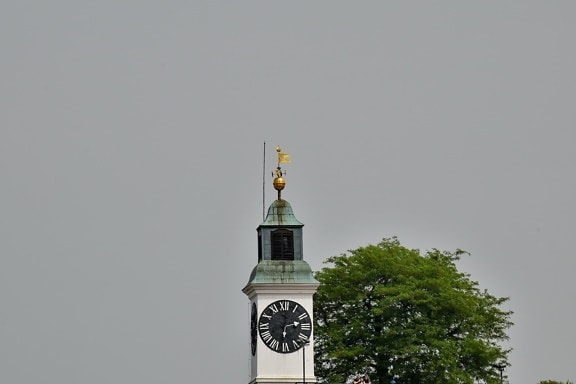 시계, 동쪽 동북, 세르비아, 관광 명소, 타워, 종교, 아키텍처, 빌딩, 오래 된, 야외에서