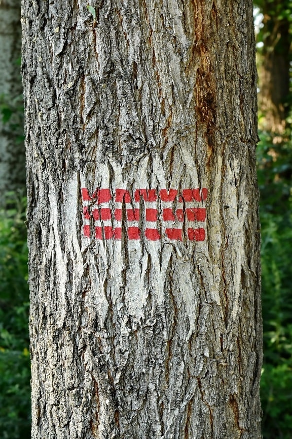 marca de, marcador, de la marca, signo de, símbolo, árbol, bosque, madera, lápida mortuaria, árboles