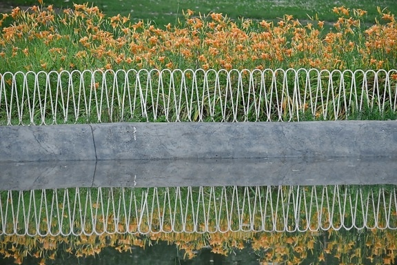 fence, flower garden, flowers, lake, lily, park, reflection, nature, field, flora