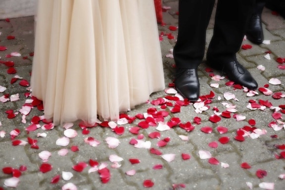 ceremony, glamour, pavement, petals, shoelace, shoes, wedding, love, person, equipment