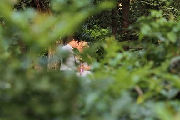 forest, handsome, kiss, pretty girl, romantic, spring time, blur, plant, outdoors, wood