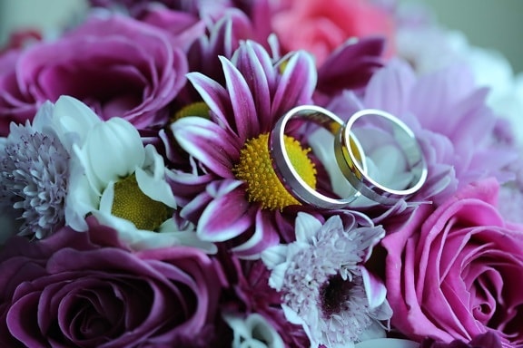 karangan bunga, cincin, romantis, cincin kawin, dekorasi, merah muda, pengaturan, bunga, kelopak, bunga