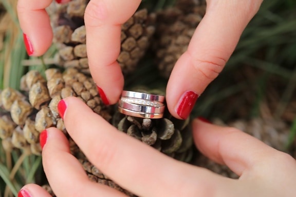 conifers, finger, hands, herb, rings, wedding, wedding ring, skin, hand, woman