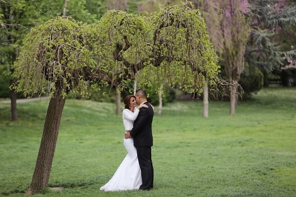 bride, groom, park, tree, wedding, grass, girl, outdoors, love, woman
