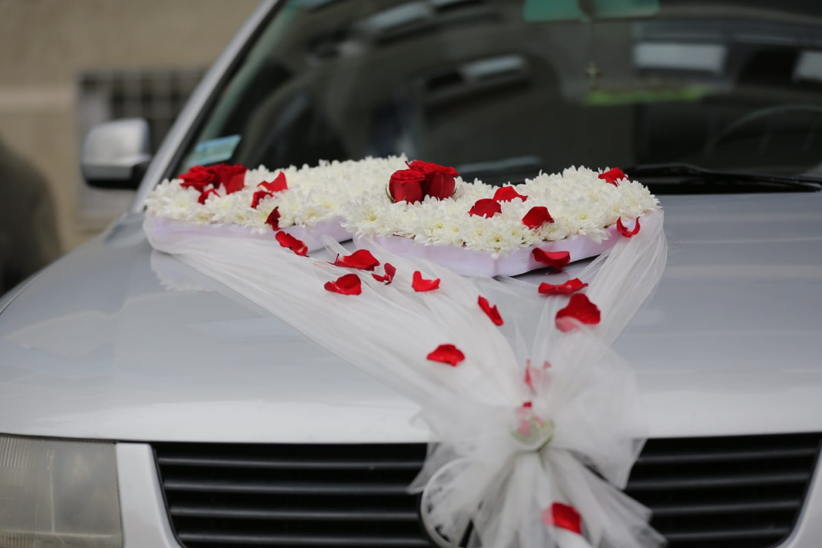 auto, svatba, láska, luxusní, květ, elegantní, zimní, romantika, růže, klasické