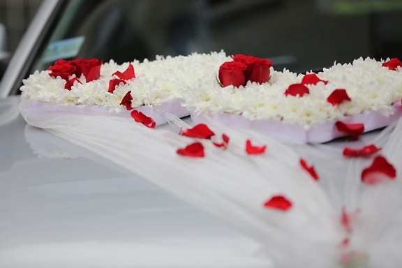 coche, decoración, velo, boda, parabrisas, flor, color de rosa, amor, celebración, romance