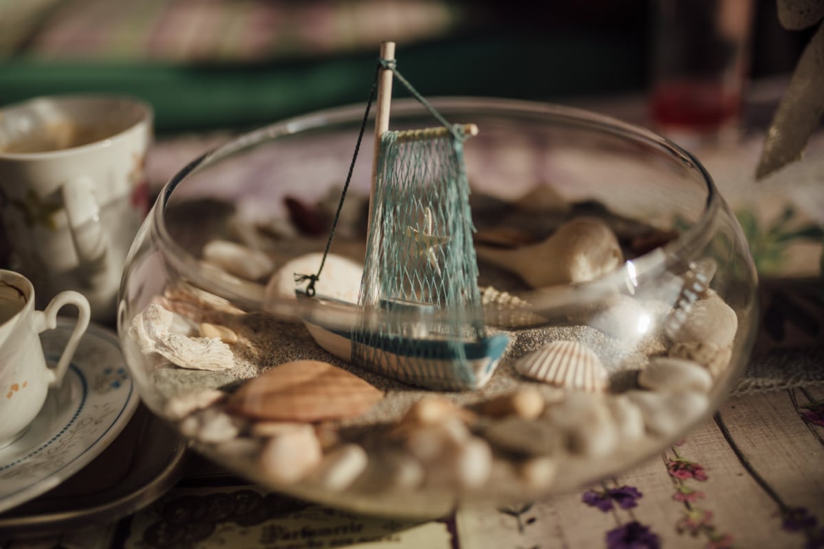 tigela, caneca de café, decoração de interiores, em miniatura, concha do mar, ainda vida, tabela, utensílios de mesa, cutelaria, glass