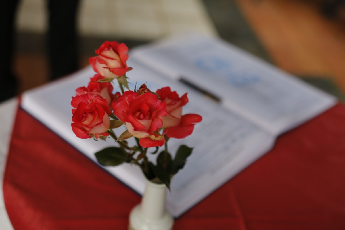knjiga, svečanosti, olovka, ruža, vaza, dekoracija, ruža, romansa, aranžman, ljubav