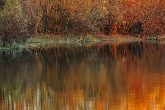 есенния сезон, вода, отражение, река, пейзаж, гора, езеро, дърво, Шор, езерото