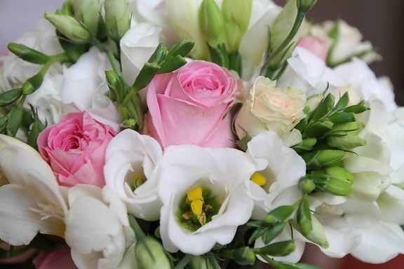 karangan bunga, pastel, mawar, bunga putih, pengaturan, dekorasi, bunga, bunga, mekar, merah muda