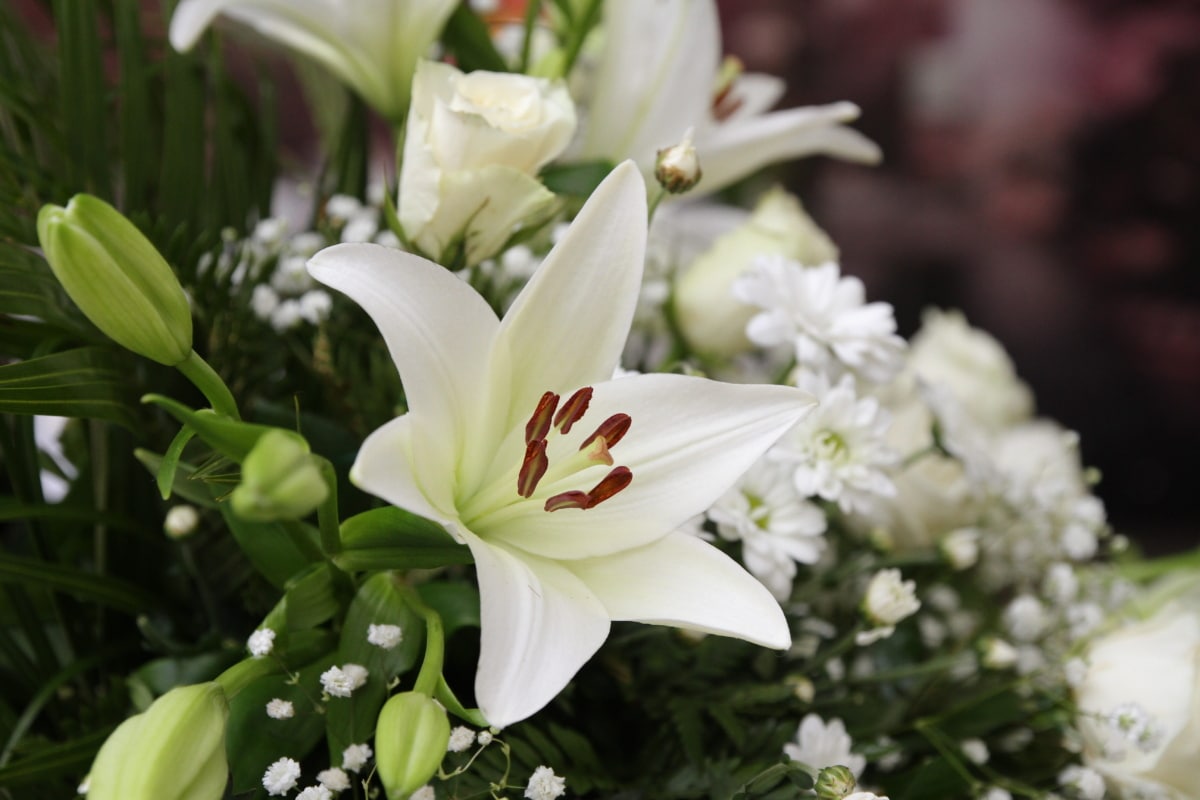 bouquet, decoration, lily, white flower, plant, flowers, blossom, flower, bloom, flora
